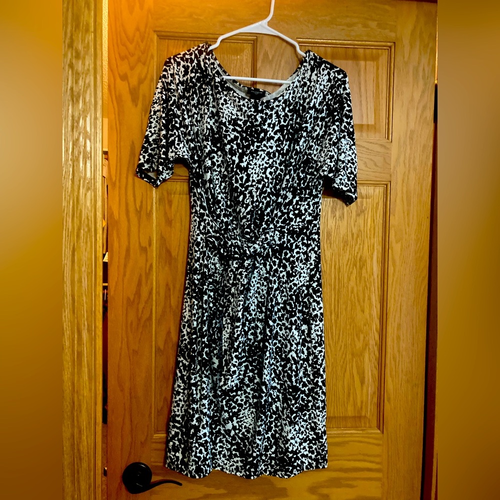 Women’s Ann Taylor Black& White Dress. Size M